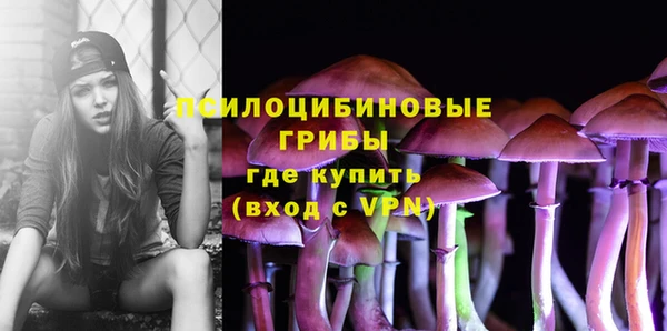 ешки Новокубанск
