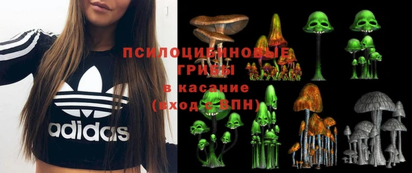 mdpv Нягань